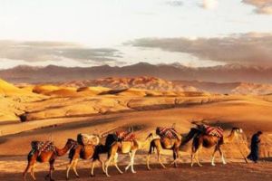 Low Cost Desert Safari Only 30 AED