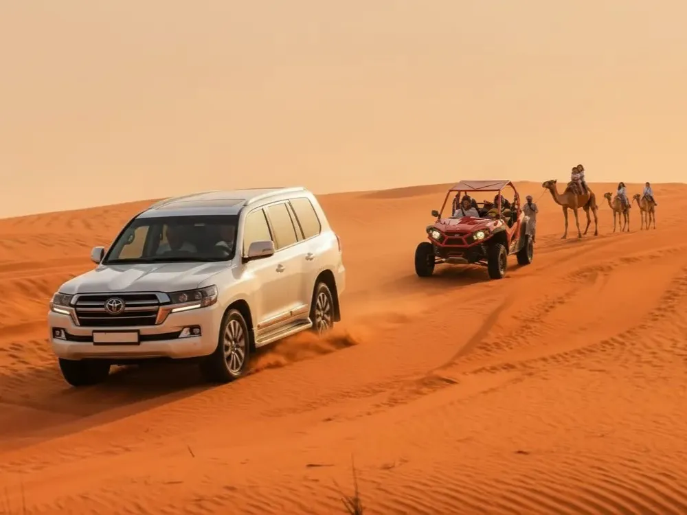Standard Deluxe Desert Safari Package